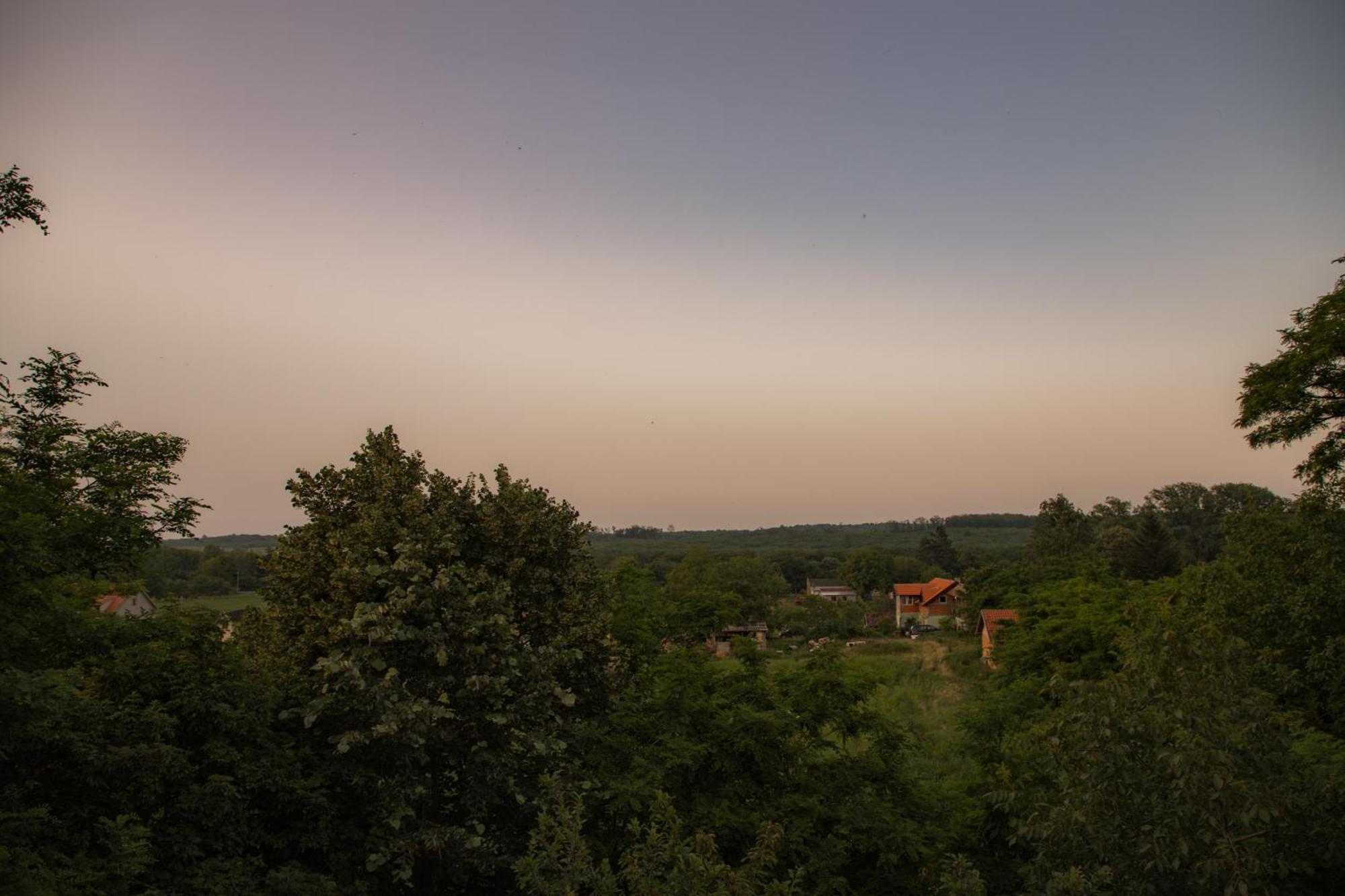 Vila Lio & Restaurant Devojacki Bunar Vladimirovac Zimmer foto